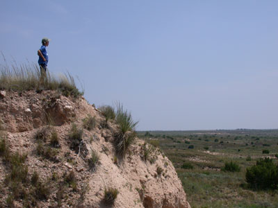 1010 Division of Double helix Ranch---home of registered Texas Longhorn cattle