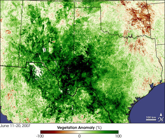 Texas Vegetation 2007