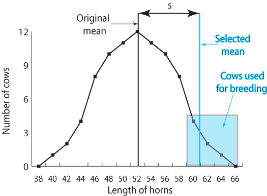Graph explaining  the selection coefficient and response to selection